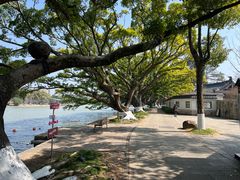 -江心屿景区