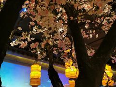 -绿茶餐厅(松江万达店)