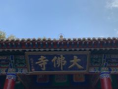 -张掖大佛寺景区