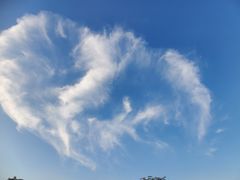 -广州增城富力万达嘉华酒店