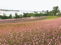 -三岔湖景区