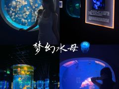 -郑州海洋馆