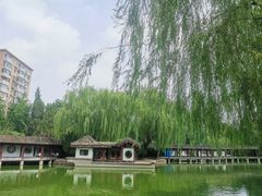 -团结湖公园