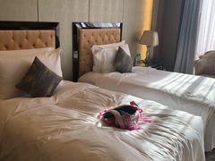 -上海浦东星河湾酒店