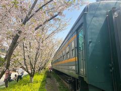 -新天地活力PARK