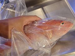 -協成海鮮火鍋(老店)