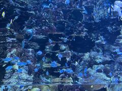 -香港海洋公园