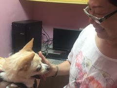 -严国平动物医院(德政总院)