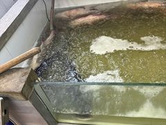 -咱屯子铁锅炖直营店(南湖大路店)