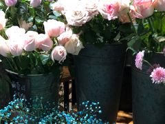 -循礼门鲜花花市(武汉循礼门店)