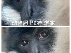 -太原动物园