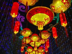 -武汉园博园(武汉自然博物馆)