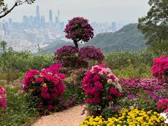 -广州市白云山风景名胜区
