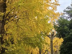 -四川大学(华西校区)