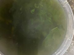 -芝城故事·建瓯土菜