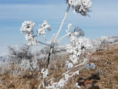 -阳台山自然风景区