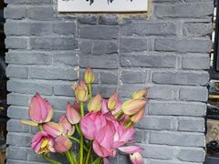 -寂照庵