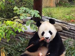 -大连森林动物园