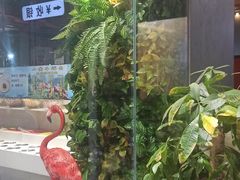 -狼头山火锅 KTV欢唱·烤串(理工大学店)
