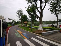 -上海长兴岛郊野公园