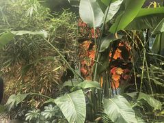 -新千丽景空中花园清真餐厅(新千国际广场店)