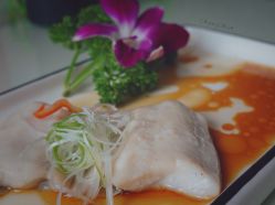 -蓓爱娇琪月子会所(虹口店)