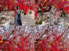 -祥源·阜阳生态乐园