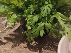 茼蒿菜-三人行骨头王火锅(长寿店)