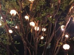 -Lam Vien Restaurant