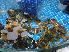 -海旺小海鲜大排档(冠亚星城店)