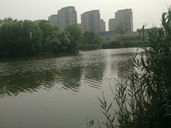 -新江湾城公园