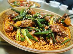 凉拌土鸡-周师饭店