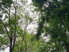 -昆明动物园