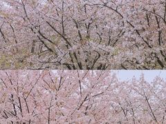 -龙美术馆(西岸馆)