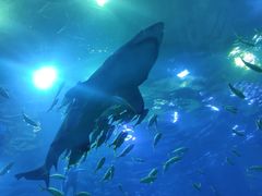 -成都浩海立方海洋公园