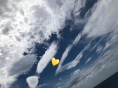-杭州浪浪浪水公园