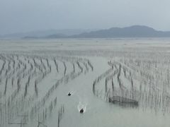 -北岐滩涂