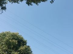 -漕湖湿地公园