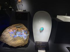 -湖南省地质博物馆