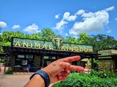 -奥兰多迪士尼动物王国乐园