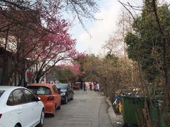 -三圣花乡旅游区