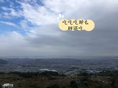 -大姆山草场
