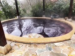 -天目湖涵田半山温泉