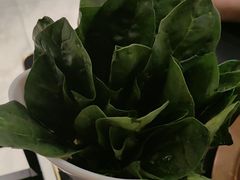 -京悦南门涮羊肉·羊蝎子火锅(田林路店)