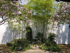 -上海醉白池公园