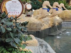 -青岛海泉湾度假区温泉