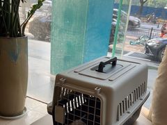 -瑞派申生动物医院·24H夜诊·国际动物医疗中心·骨外科(吴中路店)