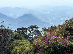 -广州市石门国家森林公园