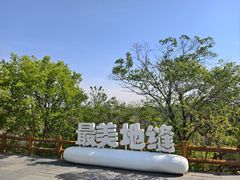 -大青沟风景区