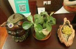 -伽玥瑜伽·普拉提馆